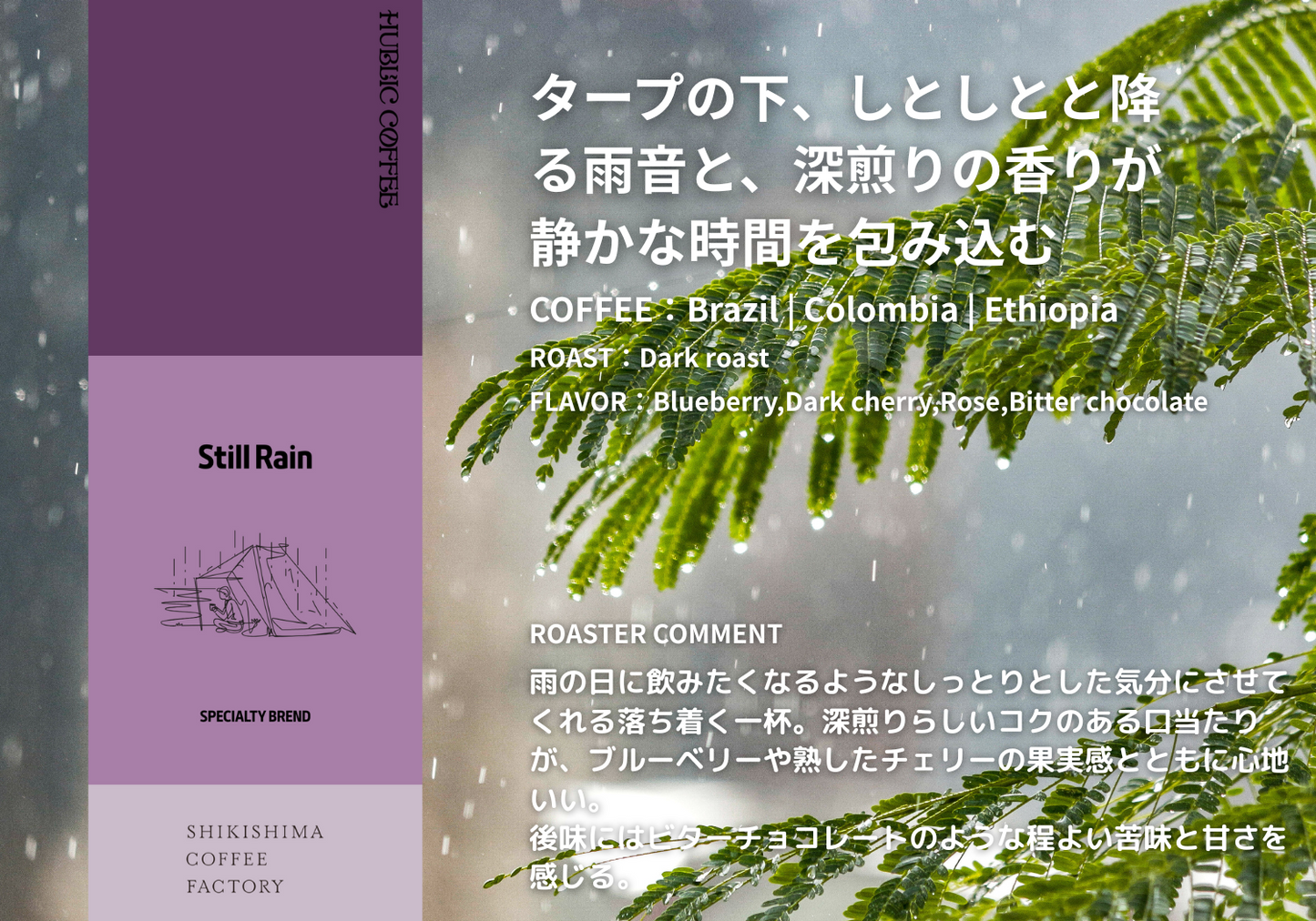Still Rain スティルレイン