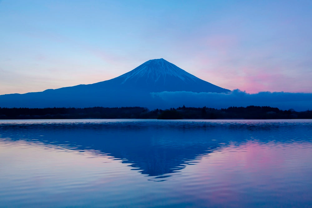 静岡ブレンド