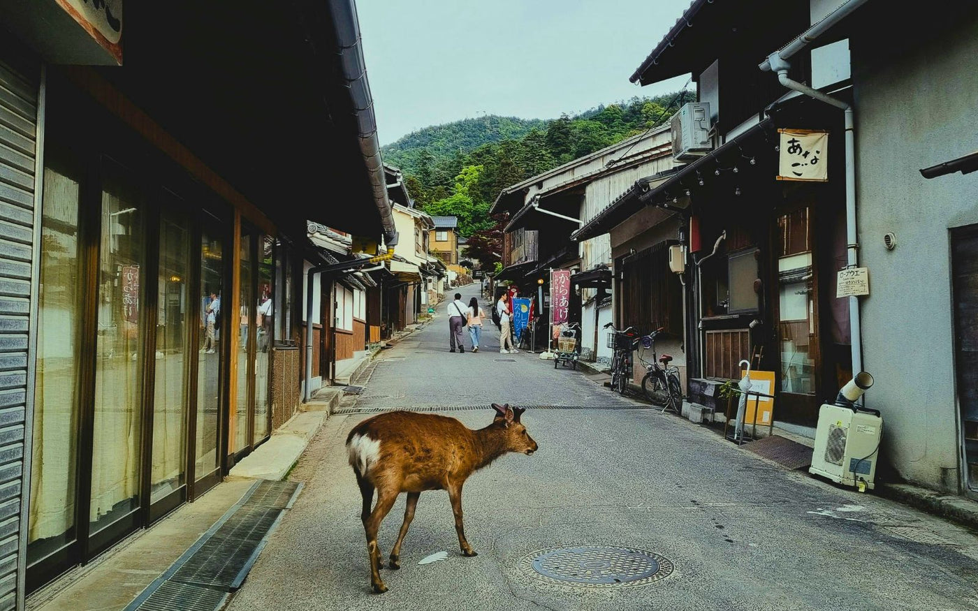 奈良をコーヒーで旅する landscape