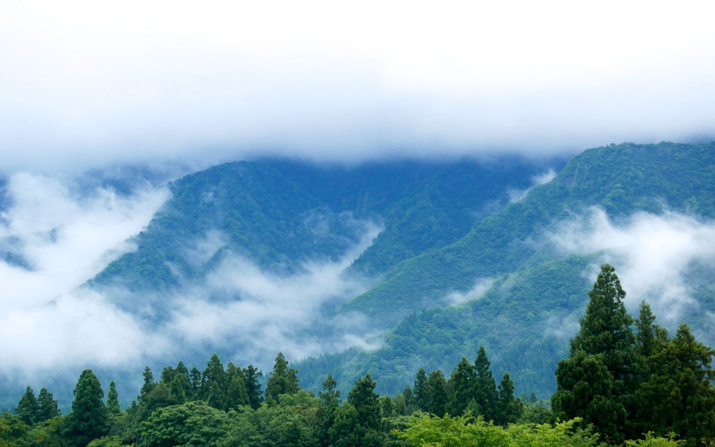 新潟をコーヒーで旅する landscape