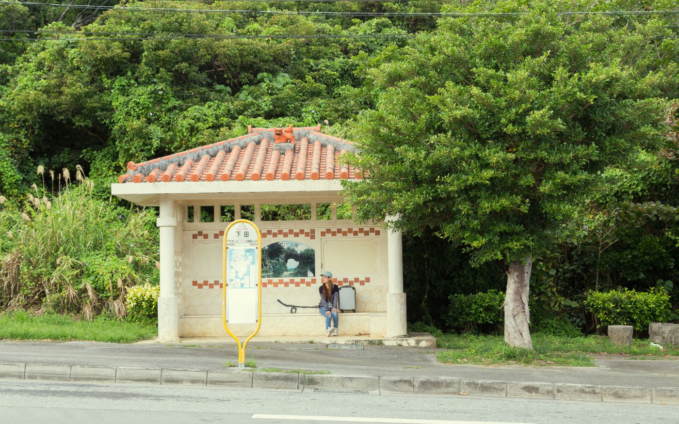 沖縄をコーヒーで旅する landscape